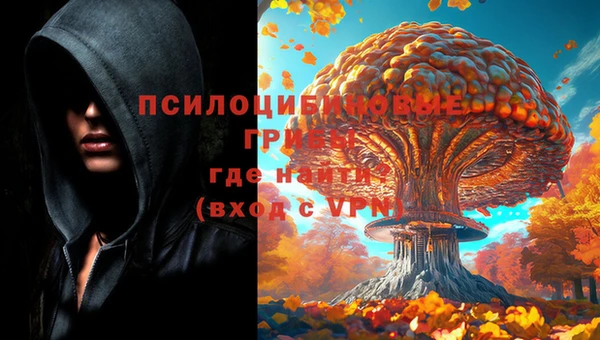 гидропоника Куйбышев
