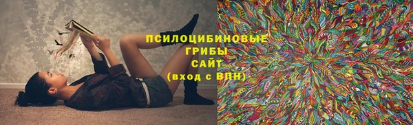 гидропоника Кулебаки