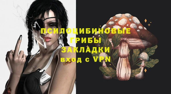 spice Краснослободск