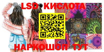 mdpv Кимры