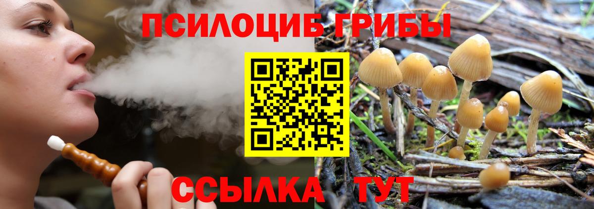 Псилоцибиновые грибы мухоморы  Галлюциногенные грибы ЛСД  Вход с VPN  Старая Купавна 